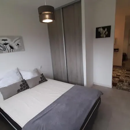 Gæstehus De La Mariee A 7mn Du Puy Du F0u 3*